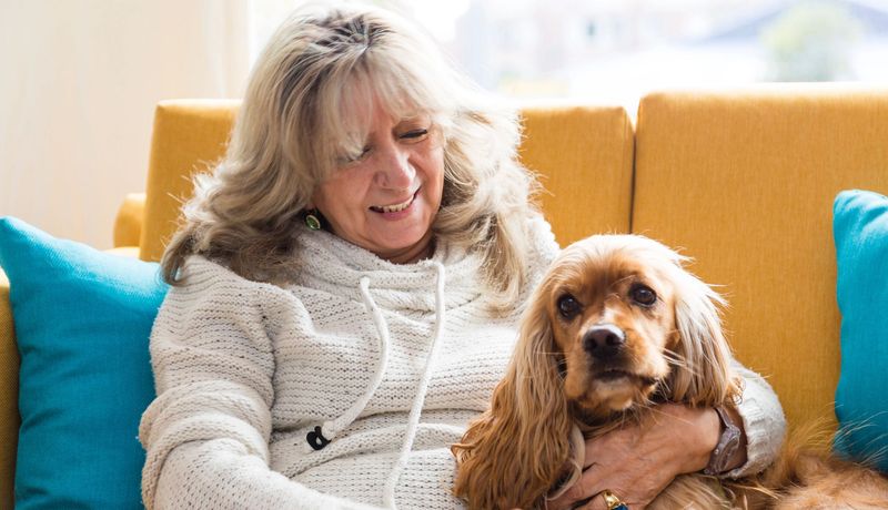 Cocker Spaniel
