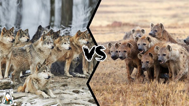 Coexistence Challenges