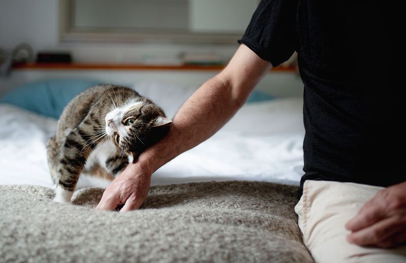 Comfort and Security