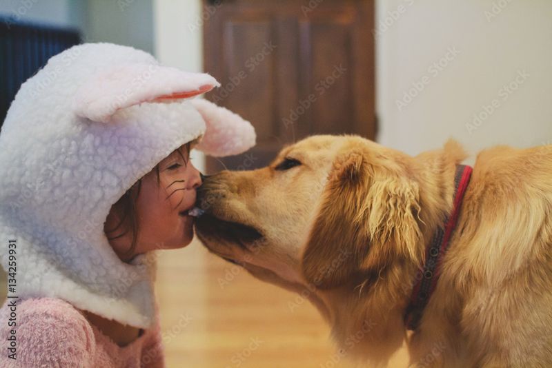 Comforting Licks