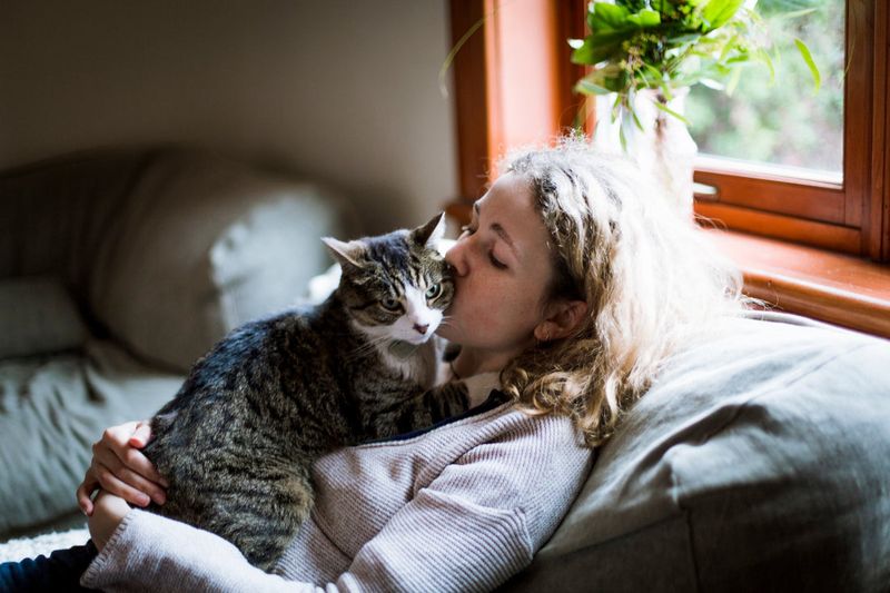 Comforts You When Sad