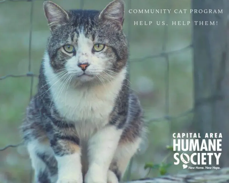 Community Cat Programs