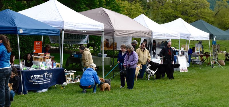 Community and Activities