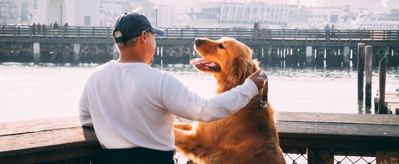 Companionship and Purpose