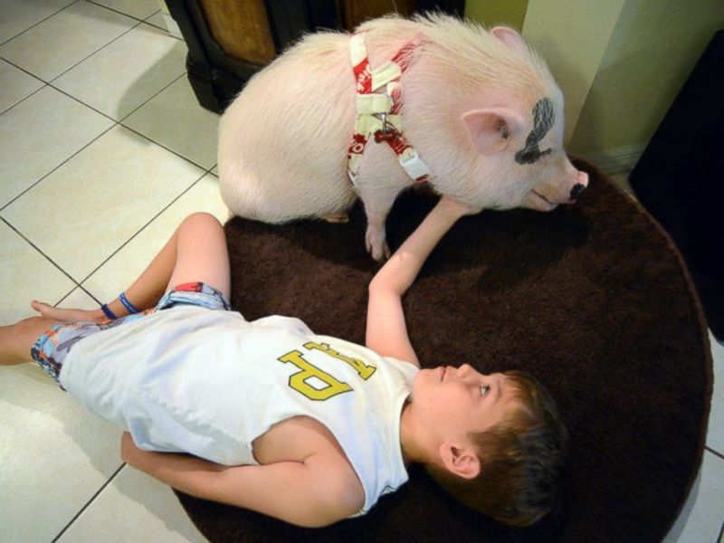 Companionship for All Ages