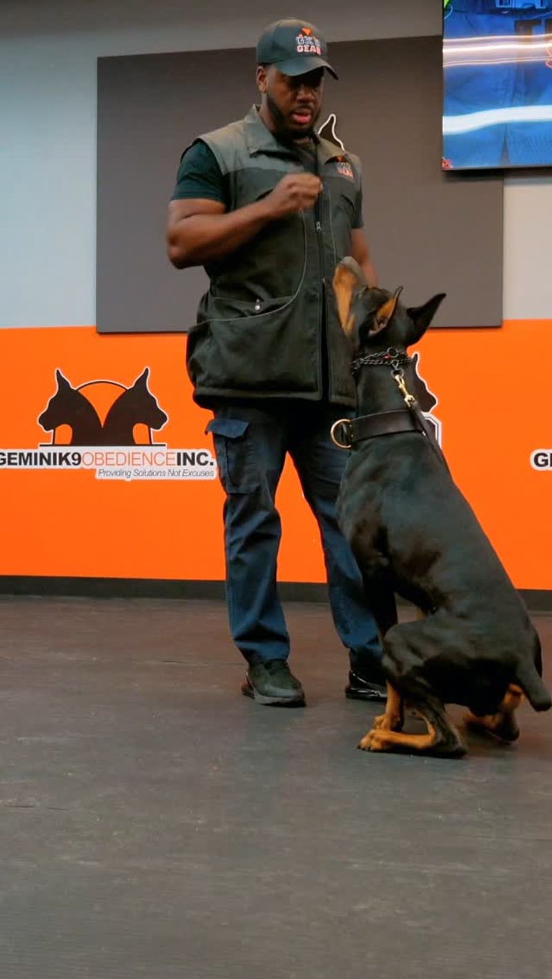 Competitive Obedience