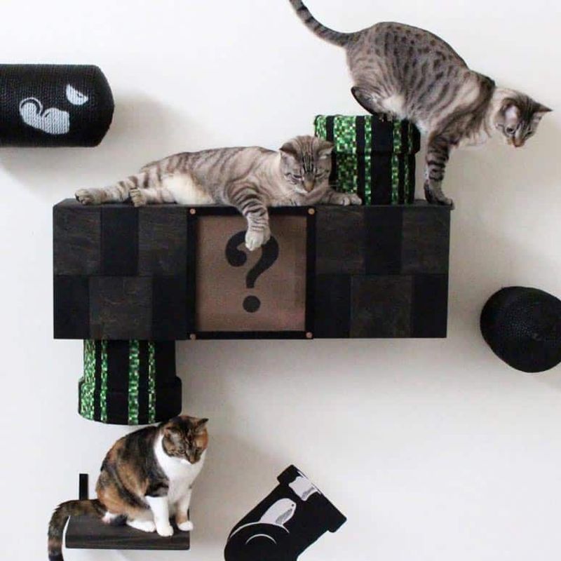 Complex Play Behavior