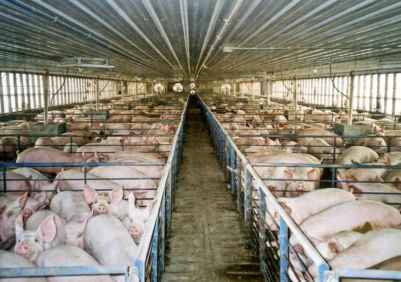 Confinement in Small Cages