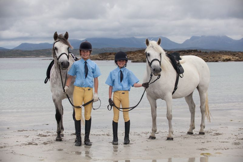 Connemara Pony