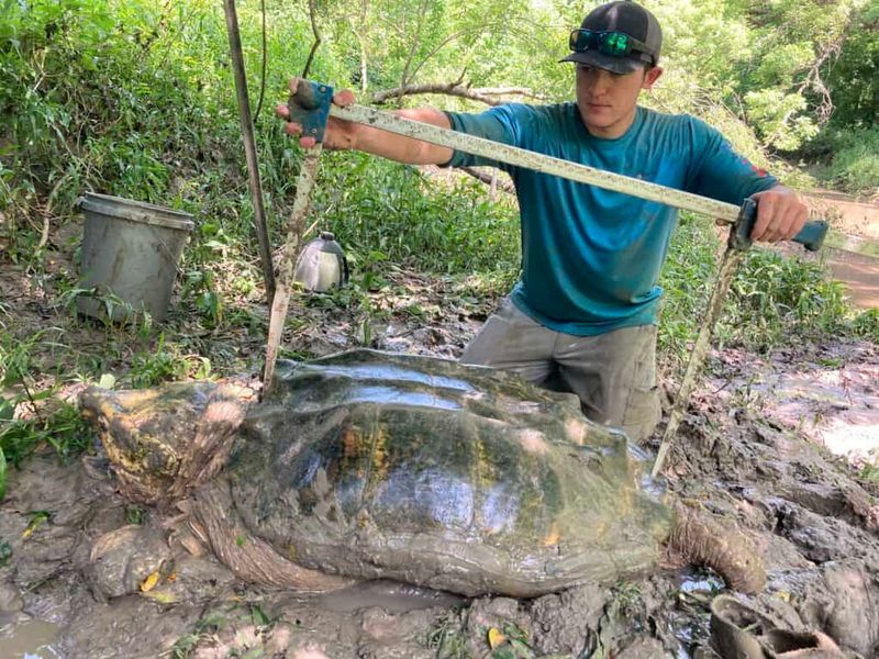 Conservation Challenges