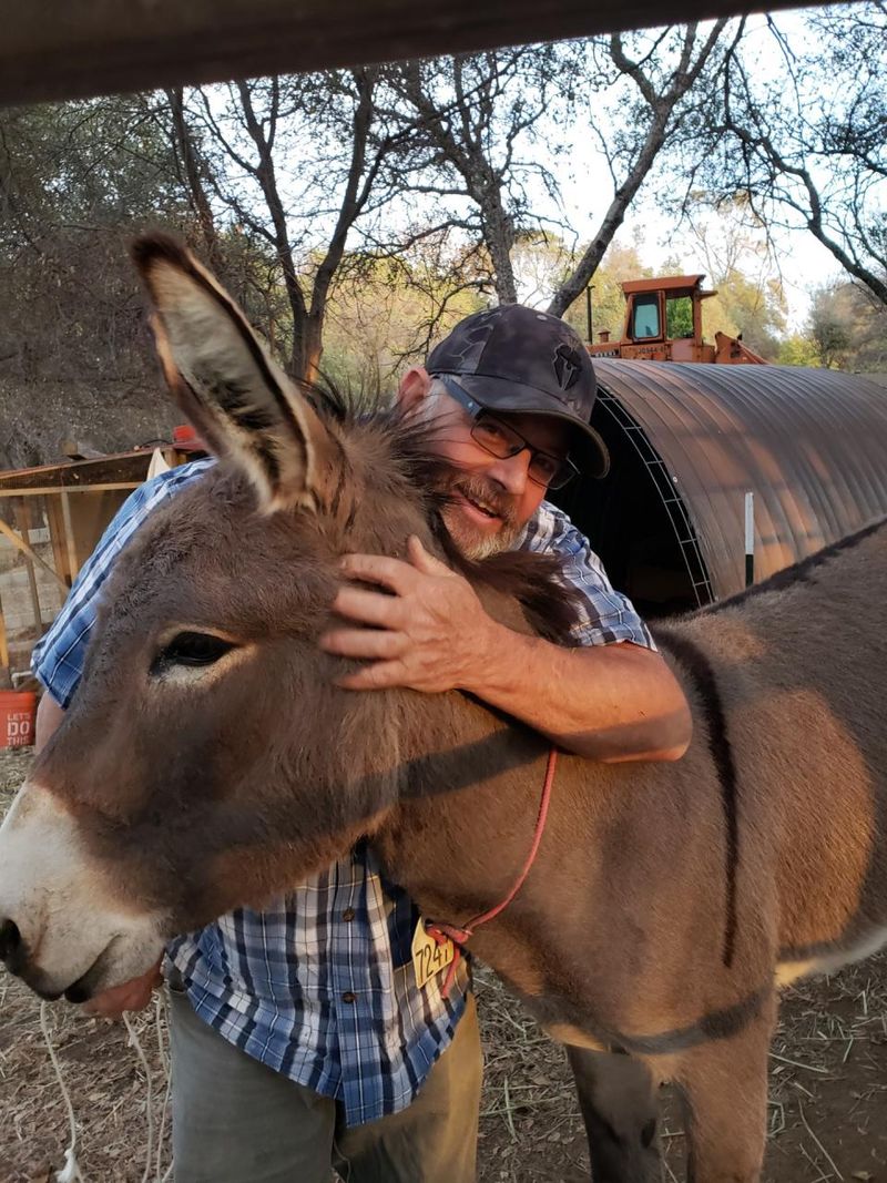 Conservation Efforts and Success Stories