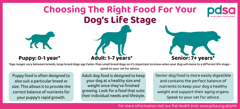 Consider Life Stage Requirements