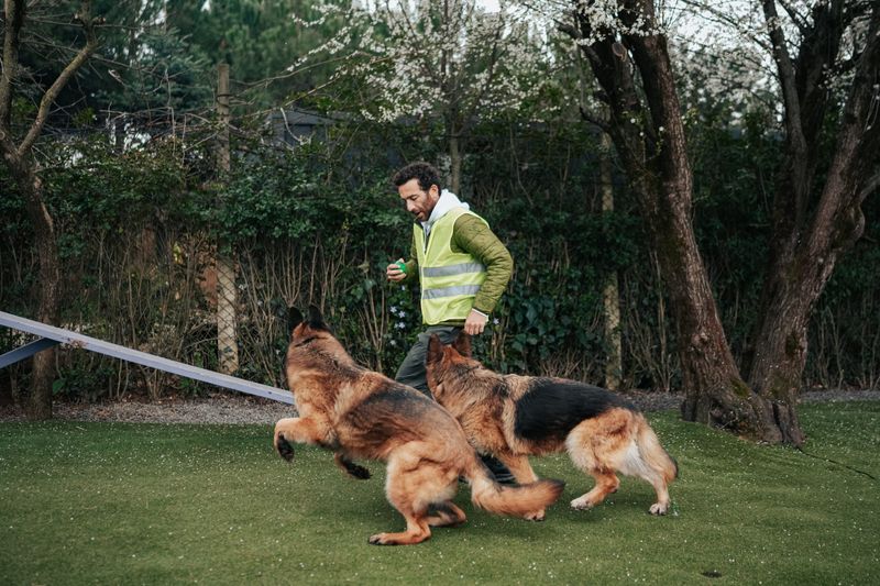 Consistent Training Sessions