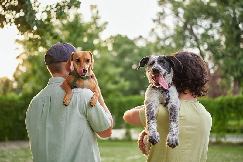 Continuing the Fostering Journey