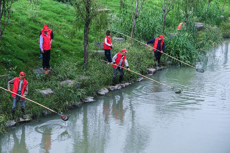 Contribute to River Conservation