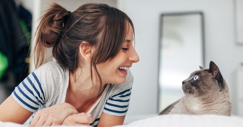 Conversations with Your Cat