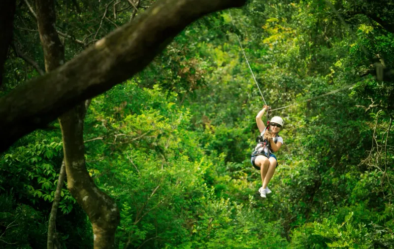 Costa Rica Cloud Forest Safari
