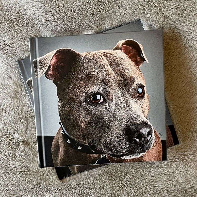 Create a Photo Album
