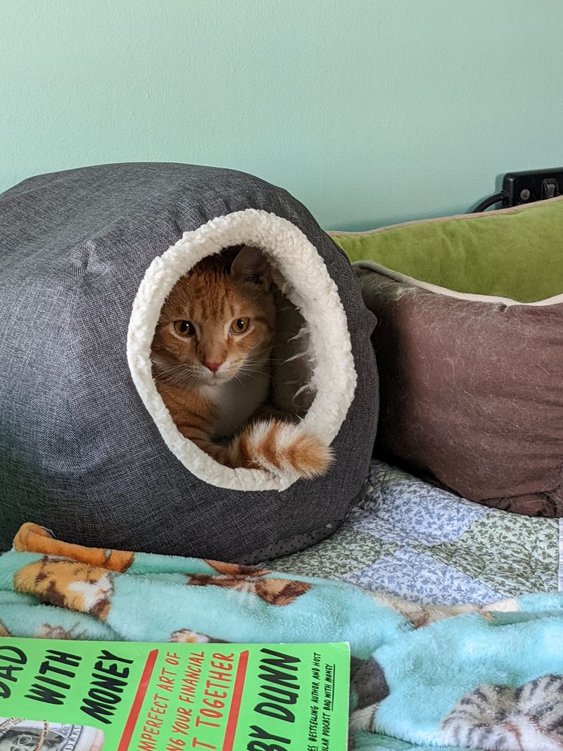Creating Safe Hiding Spots