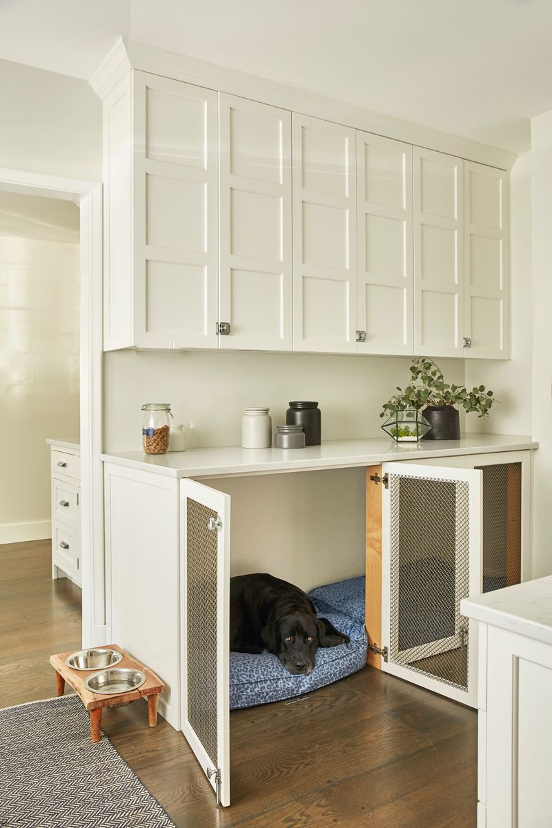 Creating a Personalized Dog Space