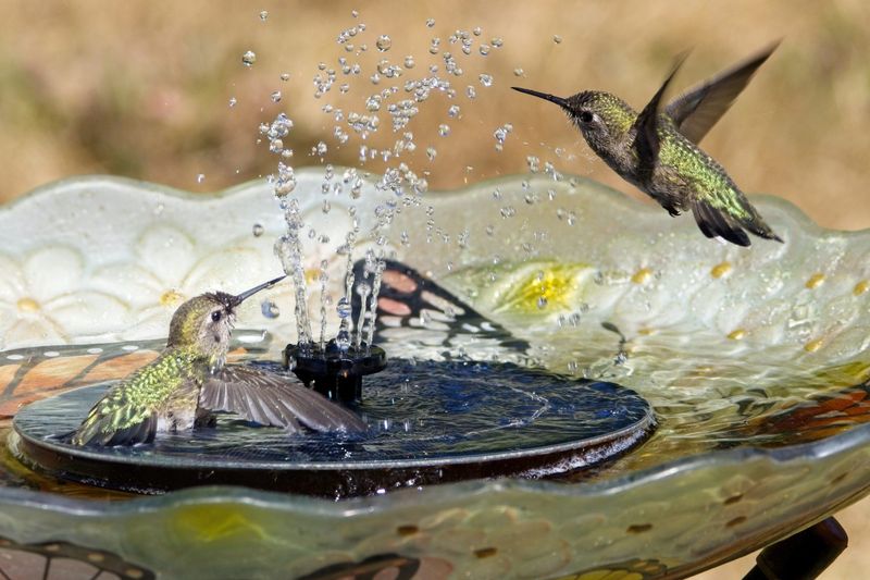 Creating a Water Feature