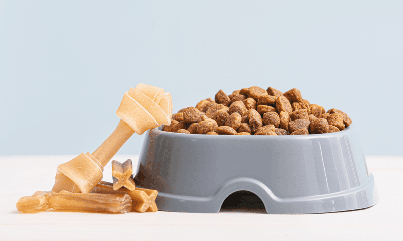 Cricket Protein