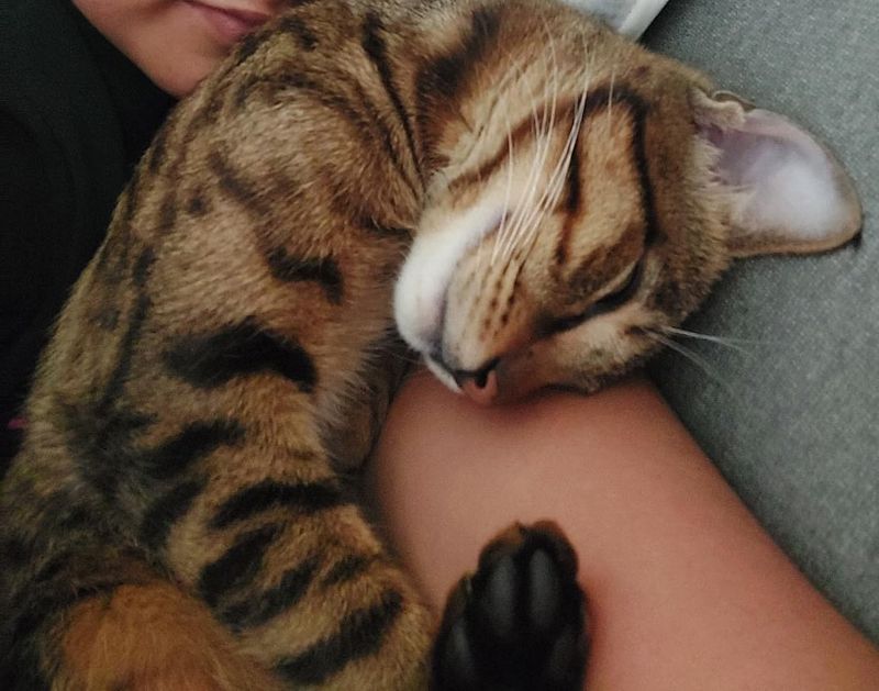 Cuddling Close During Storms