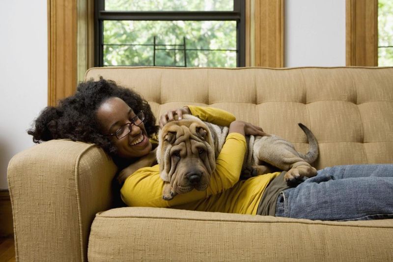 Cuddling on the Couch Builds Trust