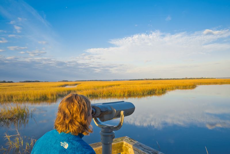 Cumberland Island National Seashore, Georgia