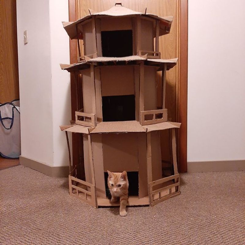DIY Cardboard Castle
