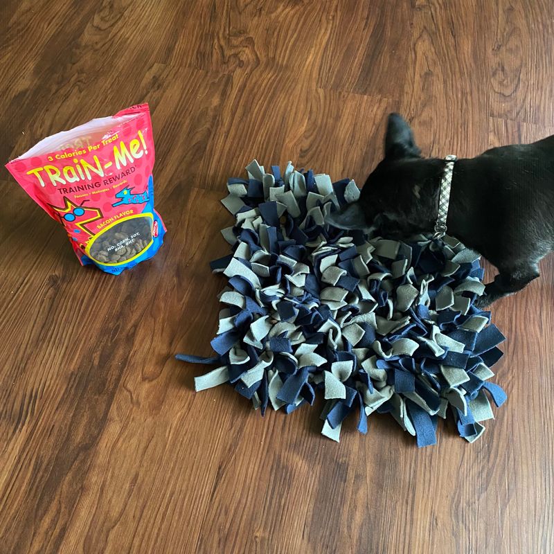 DIY Snuffle Mat
