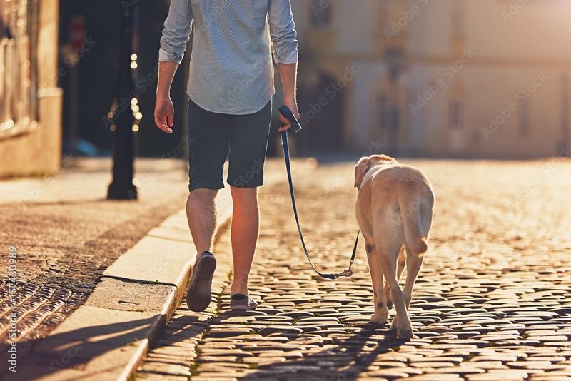 Daily Walks Together