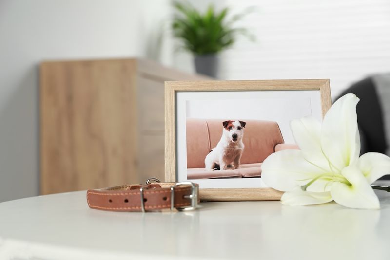 Dedicate a Space in Your Home