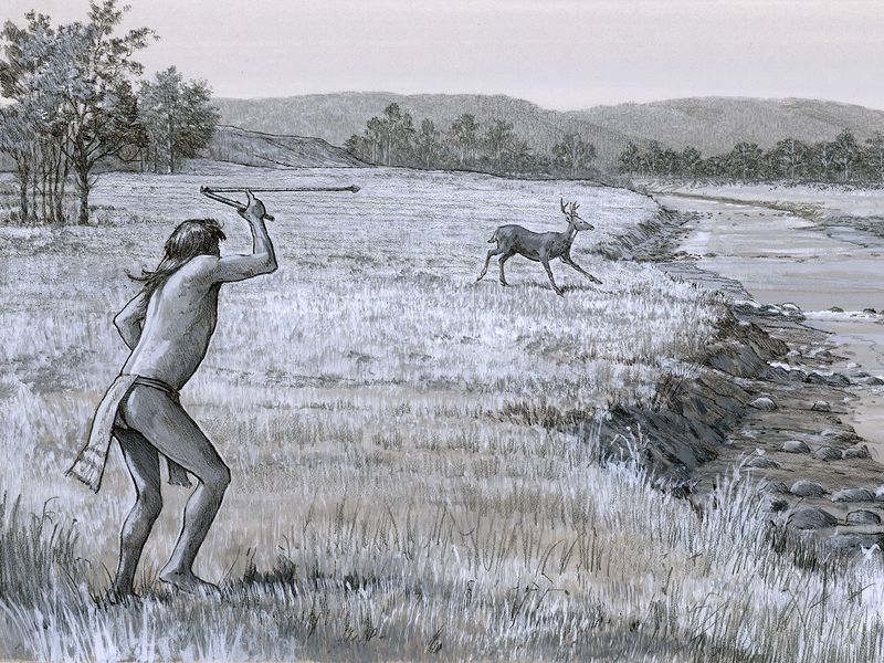 Deer: Multipurpose Resource