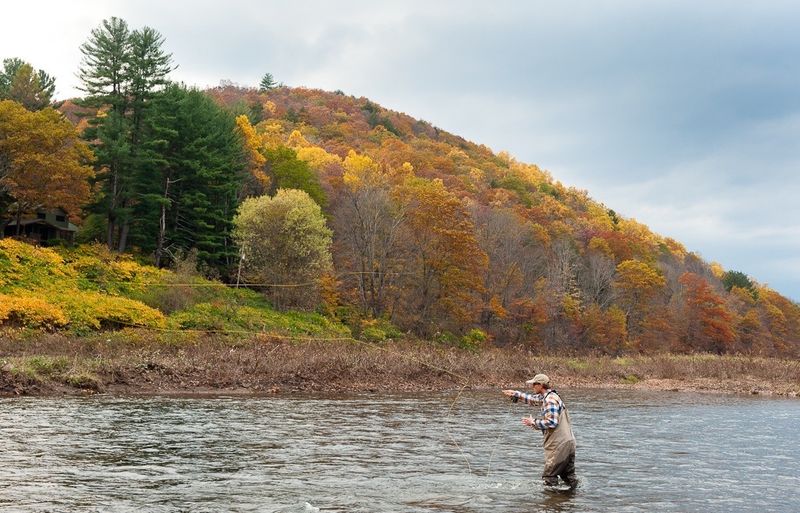 Delaware River, Pennsylvania/New York