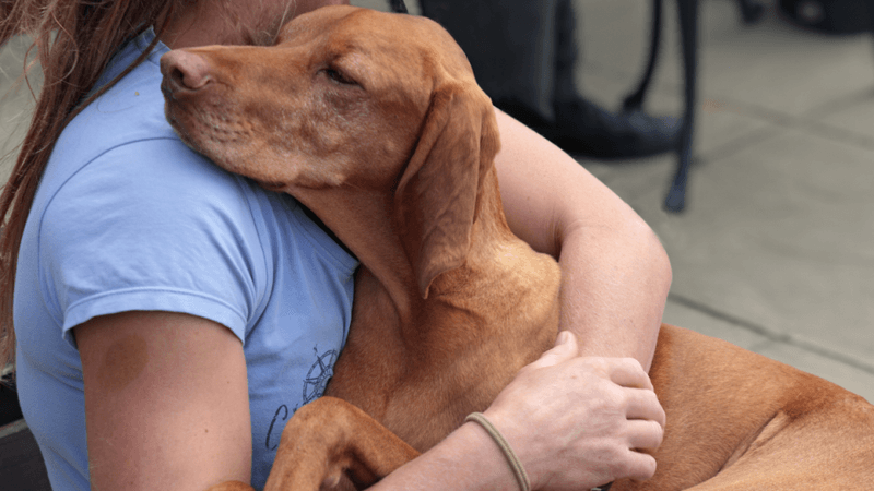 Demands to Be Held Often