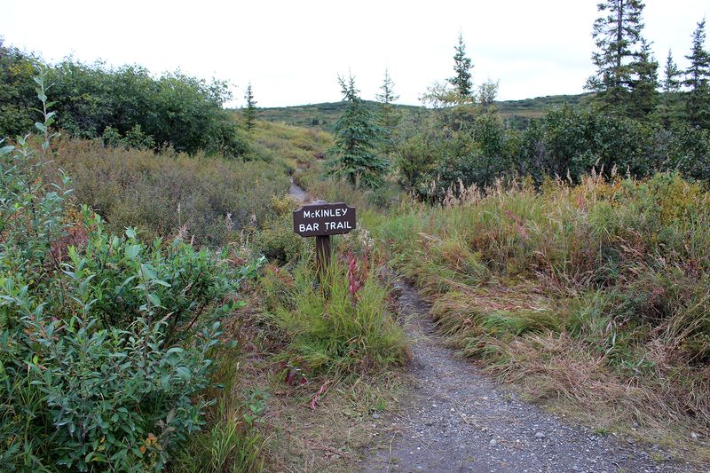 Denali National Park - McKinley Bar Trail