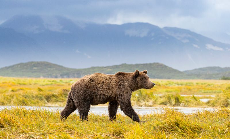 Denali National Park & Preserve