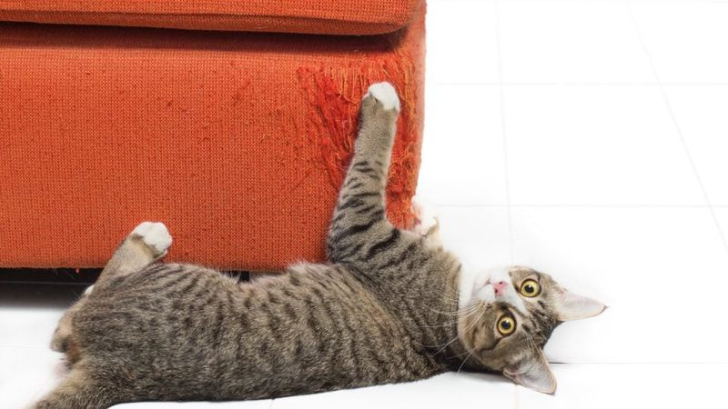 Destructive Scratching