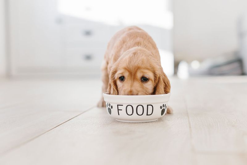 Diet and Nutrition