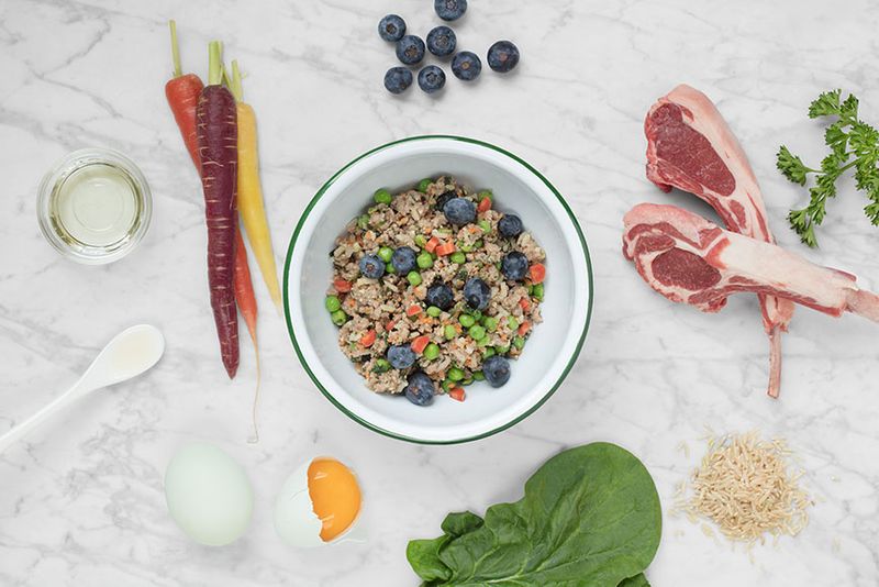 Diet and Nutrition