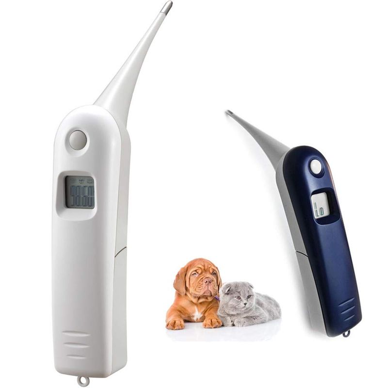 Digital Thermometer