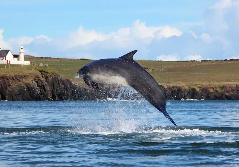 Dingle Peninsula, Ireland