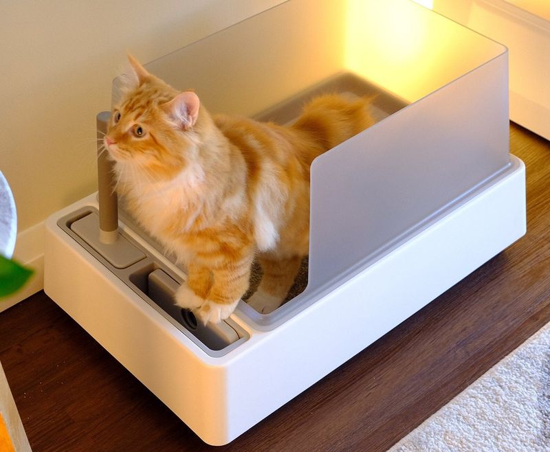 Dislike of Litter Box Design