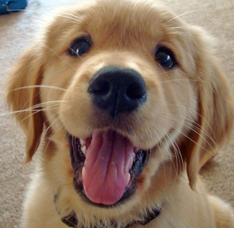 Distinctive Smile