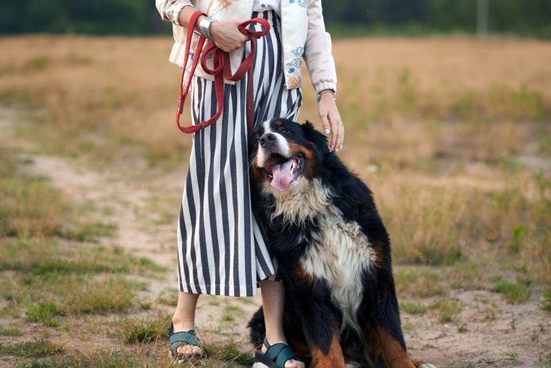 Dog Leaning on You