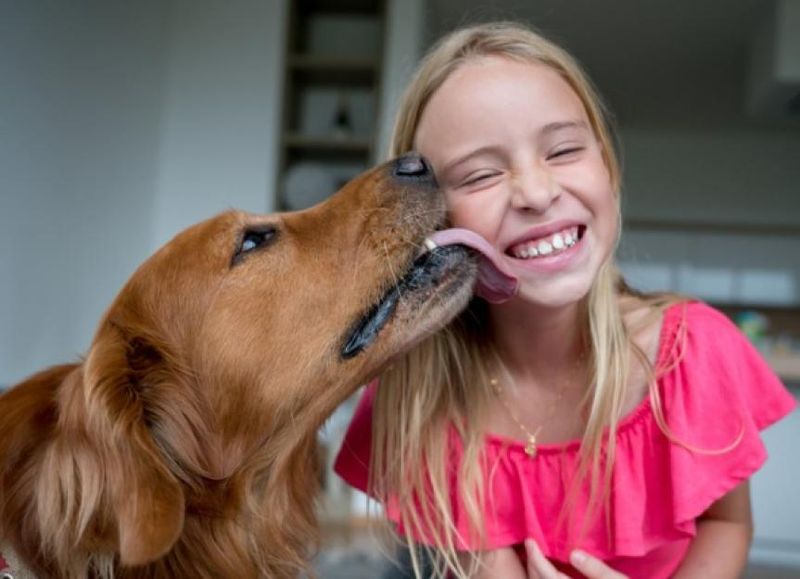 Dog Licking Your Face