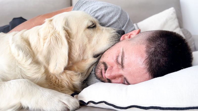 Dog's Size and Breed