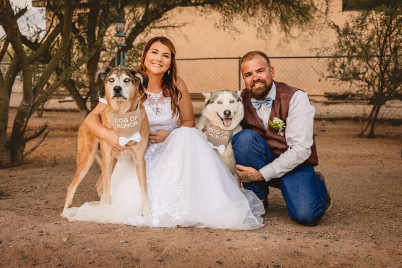 Doggy Photoshoots