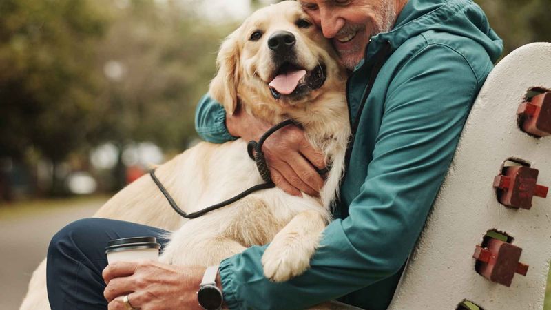 Dogs' Emotional Intelligence